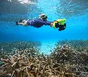 asiwo-underwater-scooter_35(snorkeling+staghorn-coral).webp
