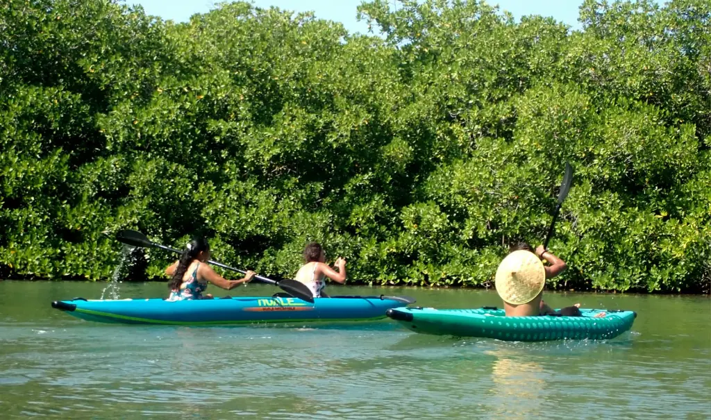 kayak family.webp