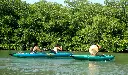 kayak family.webp