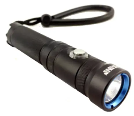 Flash light