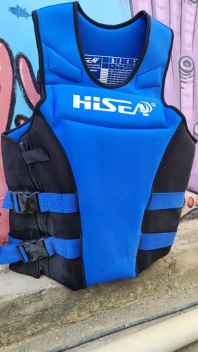 Life vest